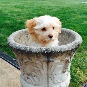 Meet your Posher, Katie